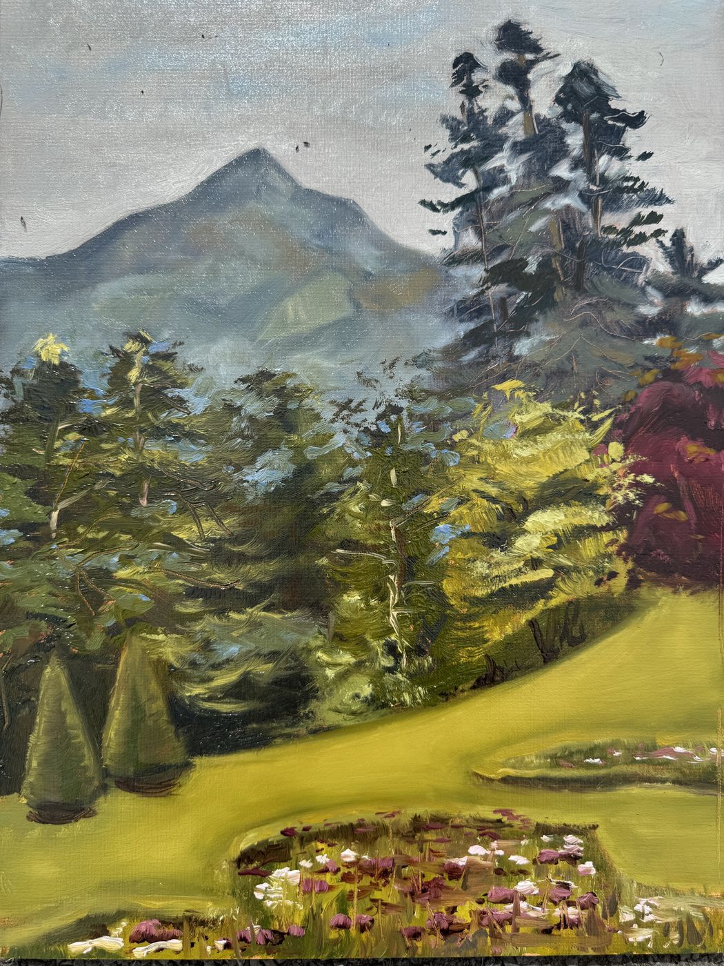 Mountain and Pines — Oil on linen board · painted on site