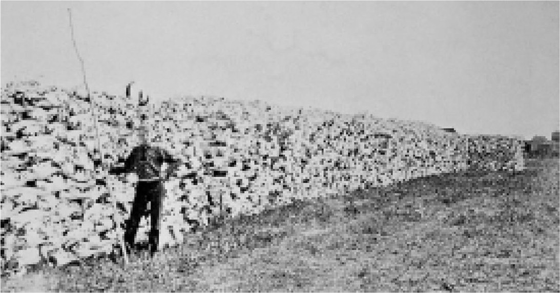The Last Stand — research
