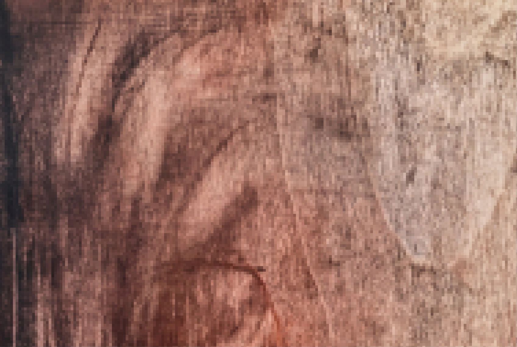The Last Tree — Process & rationale